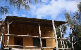 Tree House Cottage, Ocean View